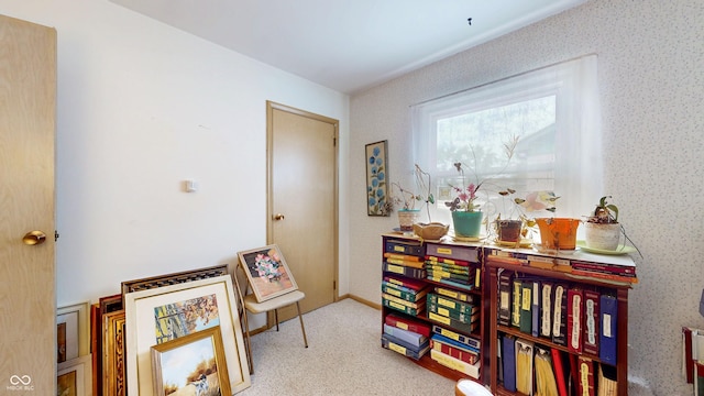 sitting room with carpet