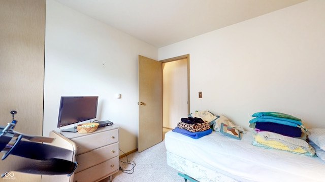 bedroom featuring carpet
