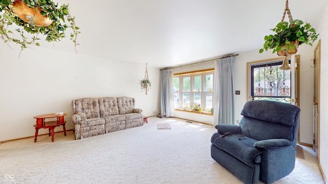 living room with carpet floors
