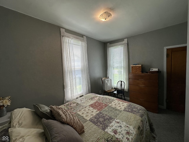 carpeted bedroom with multiple windows