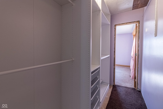 walk in closet featuring carpet flooring