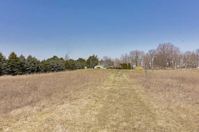 view of local wilderness with a rural view