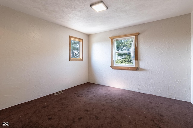 carpeted empty room with a textured wall and a healthy amount of sunlight