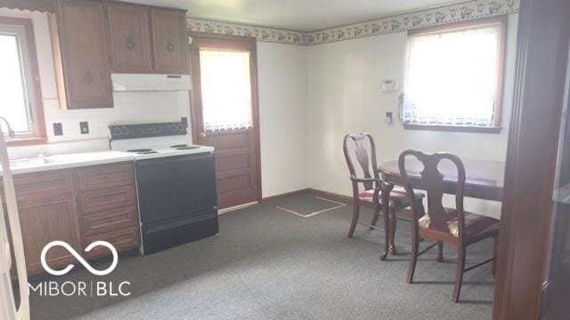 kitchen featuring a sink, baseboards, ventilation hood, electric stove, and dark carpet