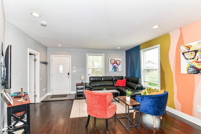319 S Randolph St, Indianapolis, IN 46201 - living room with wood-type flooring, recessed lighting, and baseboards