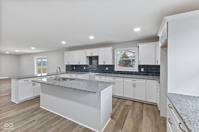 kitchen with white cabinetry, decorative backsplash, a sink, and wood finished floors