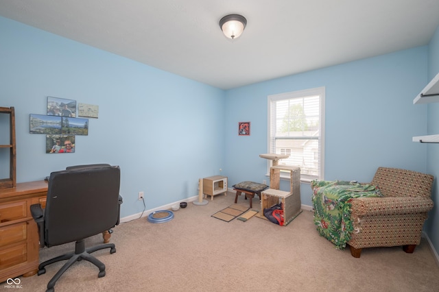 office area with baseboards and carpet