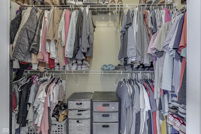 view of spacious closet