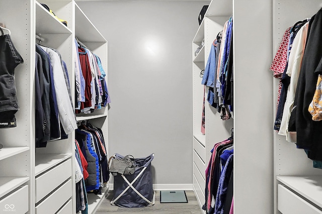 spacious closet featuring light wood-style floors