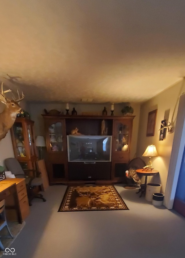 view of living area