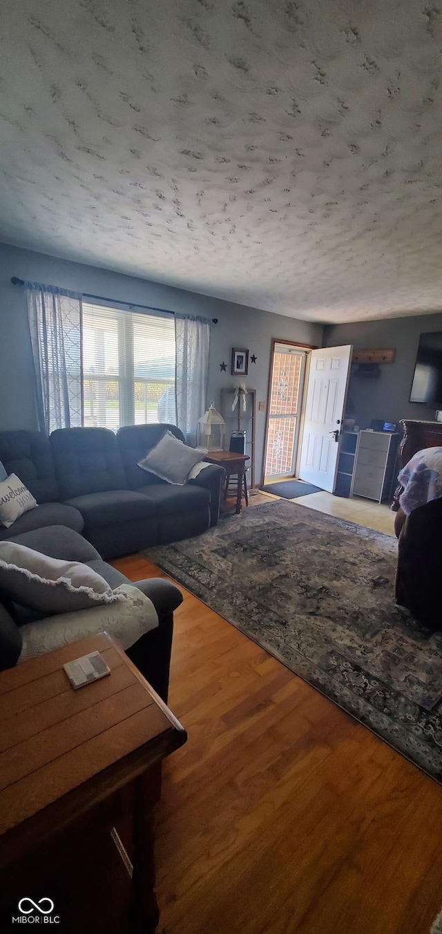 living area with wood finished floors