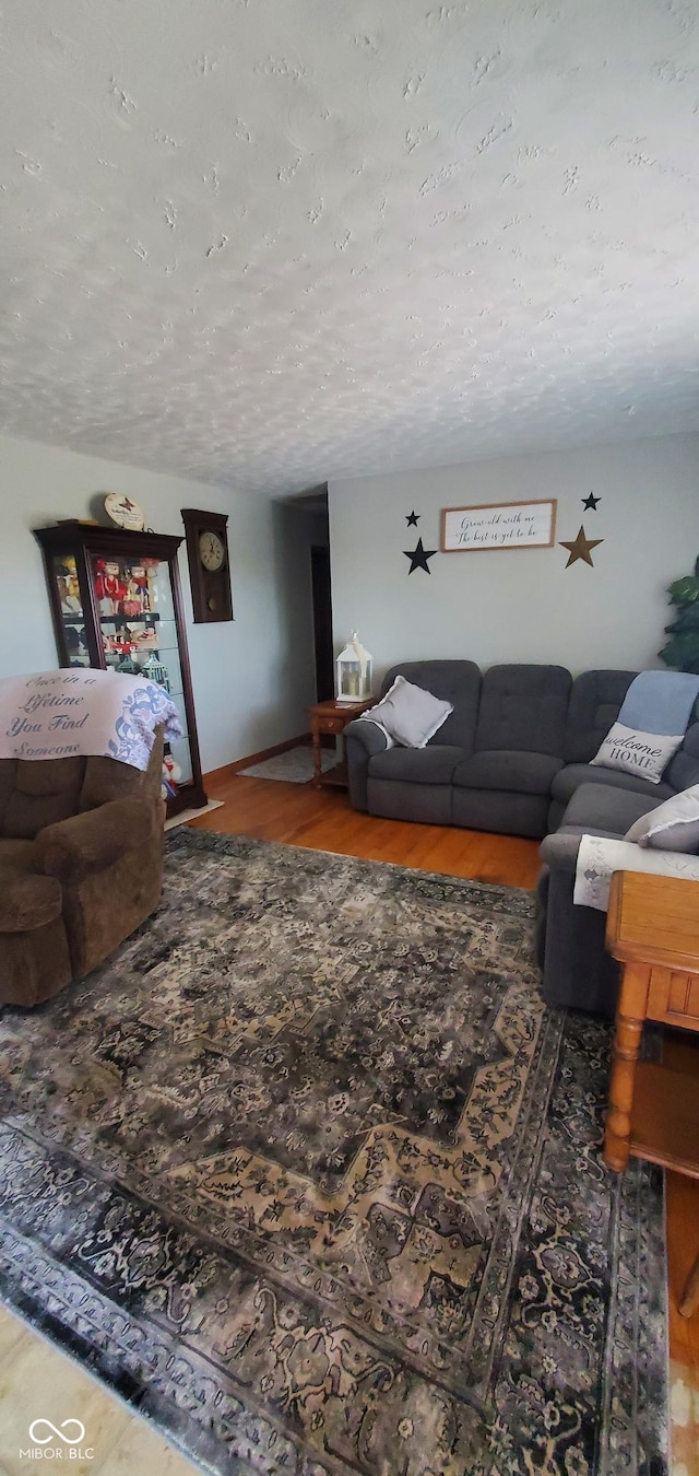 living area with a textured ceiling and wood finished floors