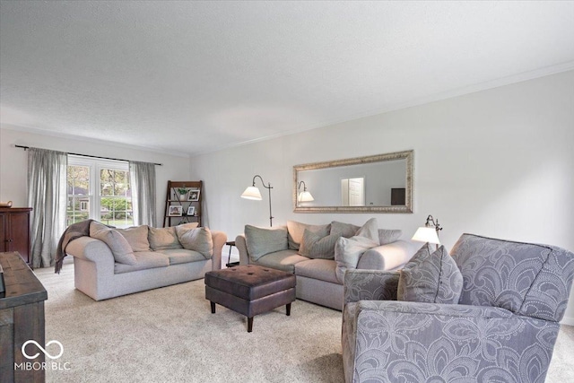 living room with crown molding and light carpet