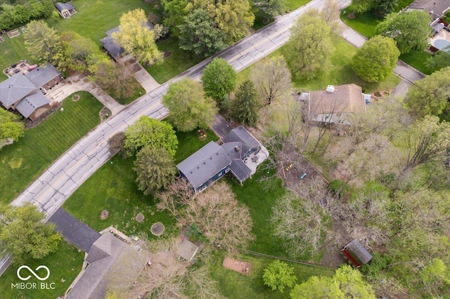 bird's eye view