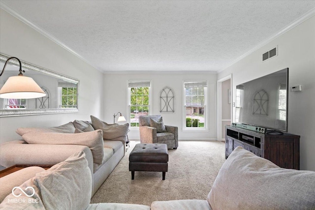 carpeted living room with a textured ceiling, visible vents, and ornamental molding