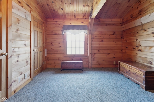 4840 N Templin Rd, Martinsville, IN 46151 - carpeted empty room featuring wood walls and wood ceiling