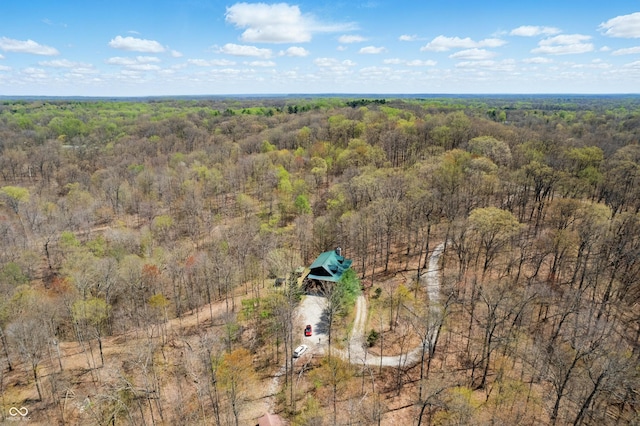 4840 N Templin Rd, Martinsville, IN 46151 - aerial view featuring a wooded view