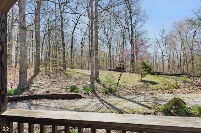 4840 N Templin Rd, Martinsville, IN 46151 - view of yard