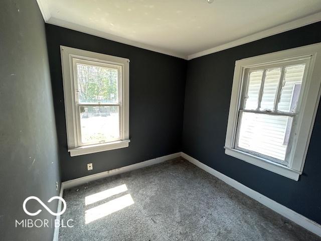 unfurnished room featuring crown molding, baseboards, and carpet