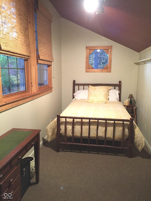 2513 Grandma Barnes Rd, Nashville, IN 47448 - carpeted bedroom featuring baseboards and lofted ceiling