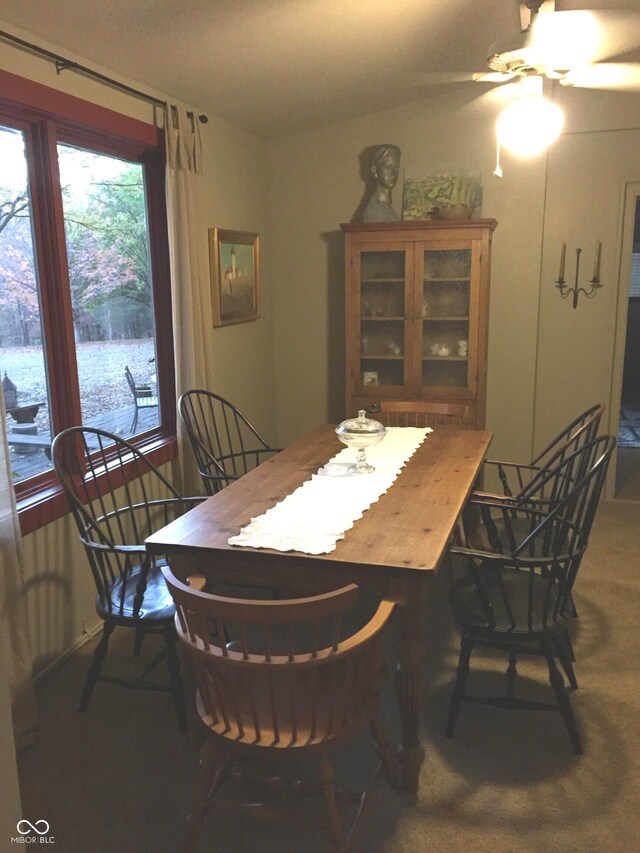 2513 Grandma Barnes Rd, Nashville, IN 47448 - dining space with a ceiling fan