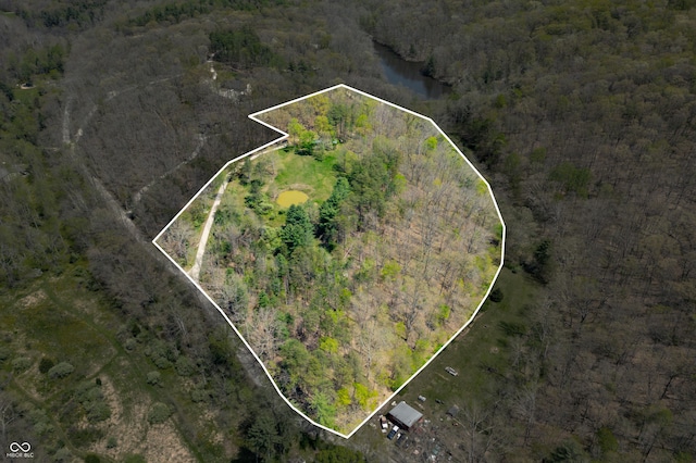 2513 Grandma Barnes Rd, Nashville, IN 47448 - bird's eye view with a wooded view