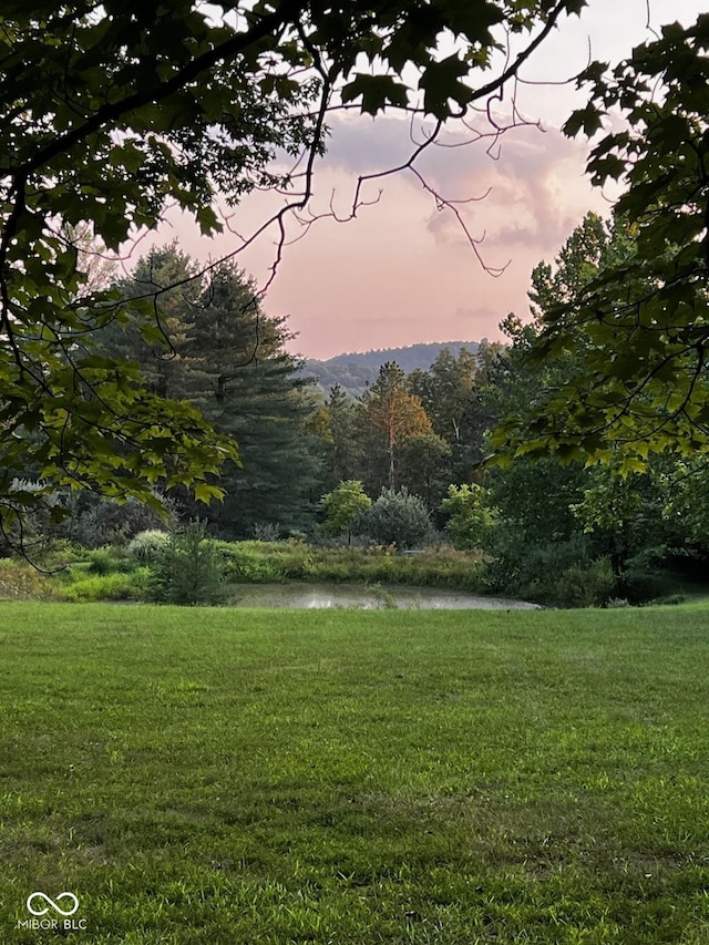 2513 Grandma Barnes Rd, Nashville, IN 47448 - view of community featuring a yard