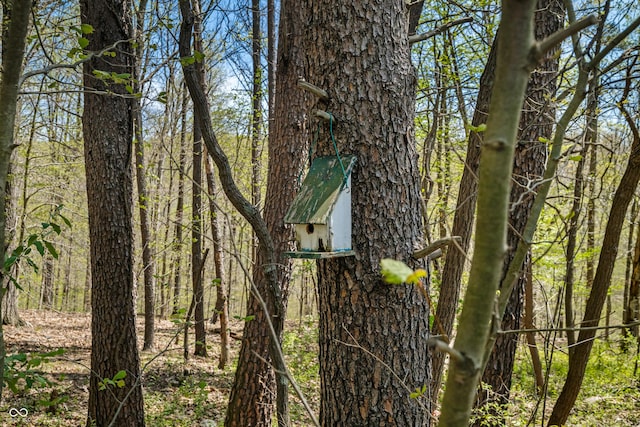 2513 Grandma Barnes Rd, Nashville, IN 47448 - view of home's exterior featuring a view of trees