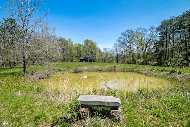 2513 Grandma Barnes Rd, Nashville, IN 47448 - view of yard with a water view