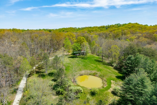 2513 Grandma Barnes Rd, Nashville, IN 47448 - aerial view featuring a forest view