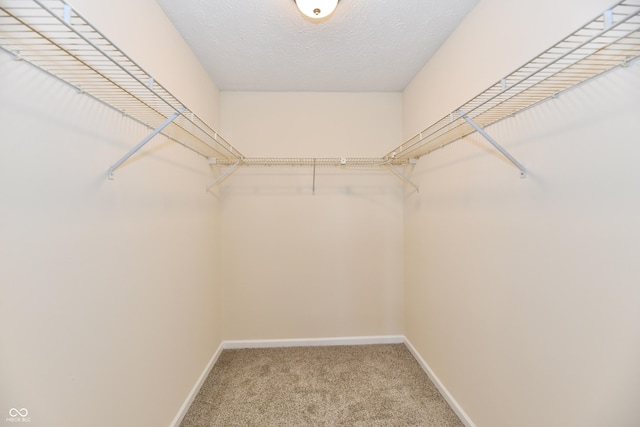 spacious closet featuring light colored carpet