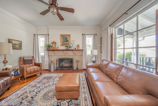 living room featuring crown molding, a fireplace, a ceiling fan, and wood finished floors