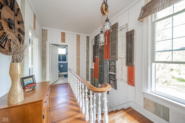 hall with crown molding and wood walls