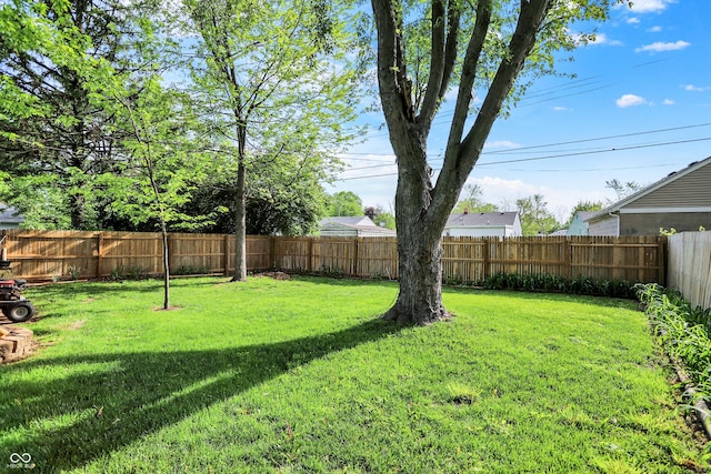 2307 Magnolia Pl, Indianapolis, IN 46219 - view of yard