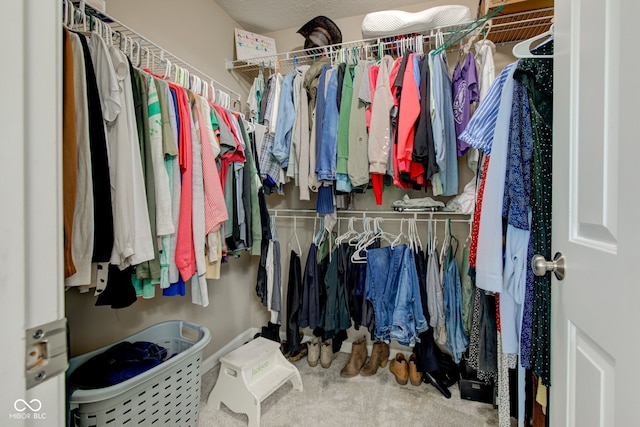 view of walk in closet
