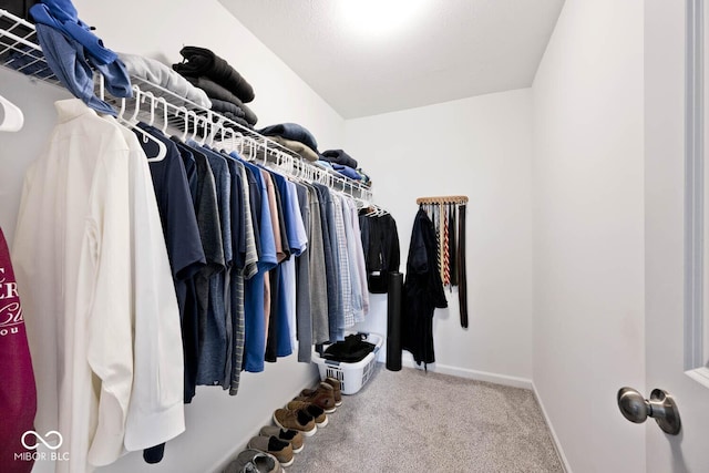 spacious closet featuring carpet flooring