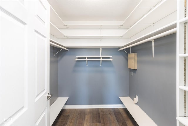 walk in closet featuring dark wood-style floors