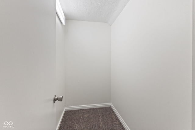 walk in closet featuring carpet
