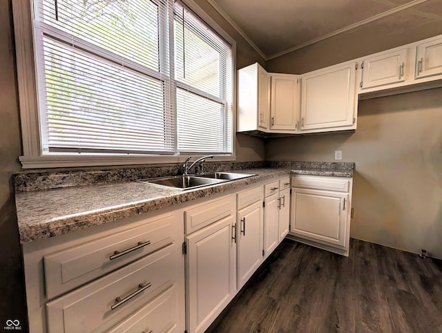 kitchen featuring a sink, crown molding, white cabinetry, and dark wood-type flooring