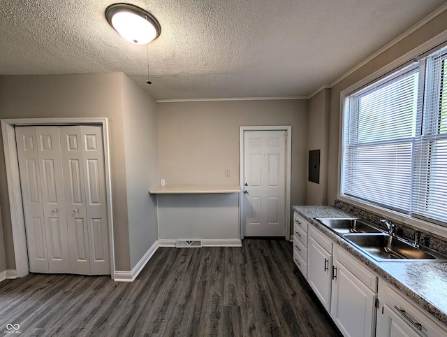 kitchen with dark wood-style floors, a textured ceiling, electric panel, white cabinets, and a sink