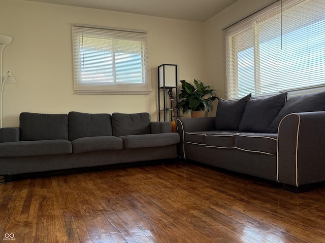 living area featuring dark wood-style flooring