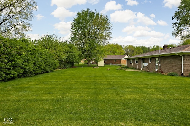 view of yard