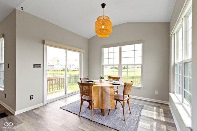 11595 Platt St, Noblesville, IN 46060 - dining room featuring plenty of natural light, lofted ceiling, light wood-style floors, and baseboards