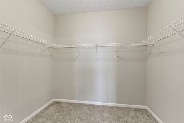 11595 Platt St, Noblesville, IN 46060 - walk in closet with carpet