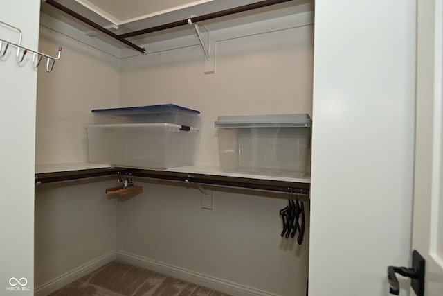 spacious closet with carpet flooring