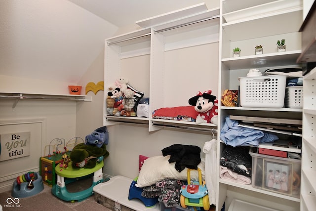 spacious closet with vaulted ceiling