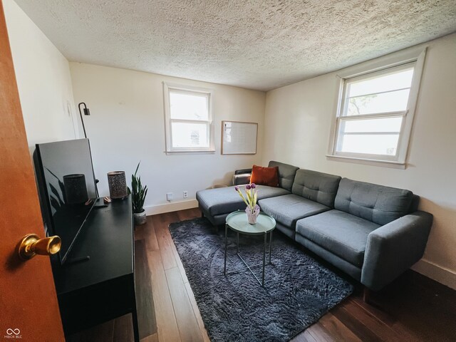 living room featuring baseboards, a textured ceiling, dark wood finished floors, and a wealth of natural light