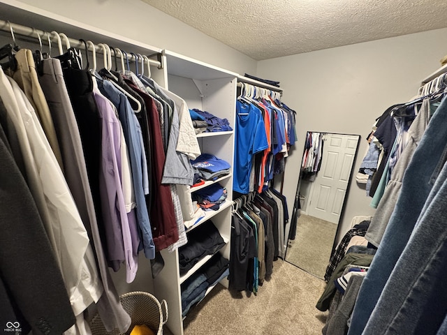walk in closet with carpet floors