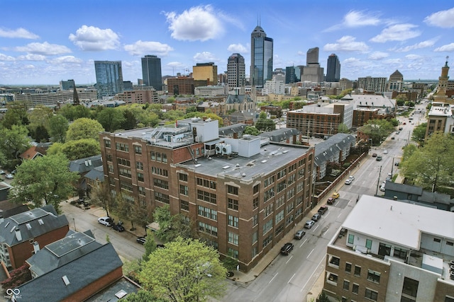 aerial view of a skyline view