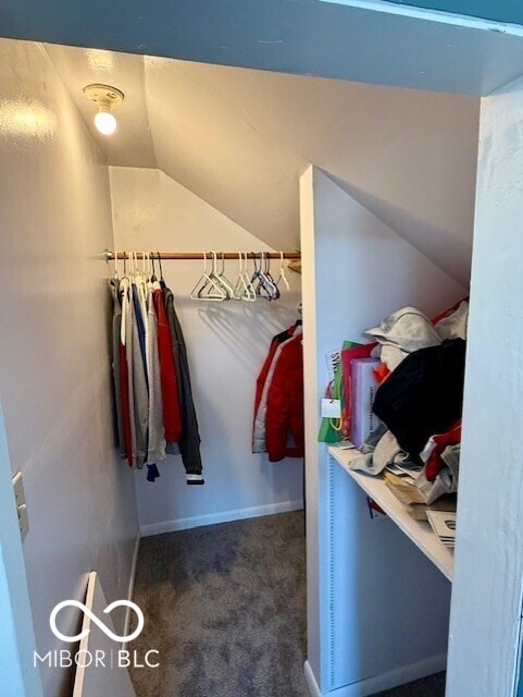 walk in closet with carpet flooring and lofted ceiling